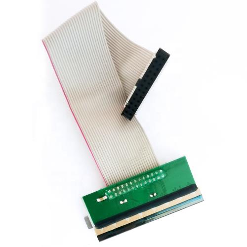 Kafa Head / CAS Kafa Head